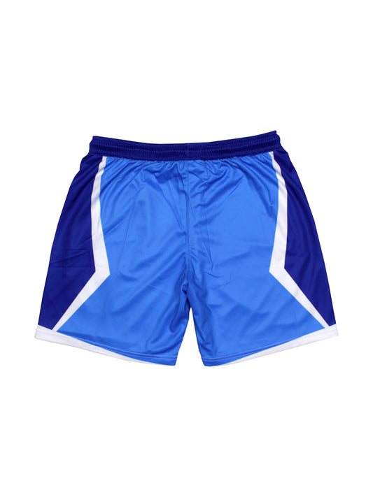 blue ice shorts - archive
